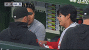 San Francisco Giants Sport GIF by MLB