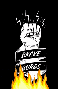 Braveburds braveburds braveburd scottishgirls GIF