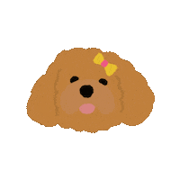 Toy Poodle Sticker