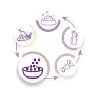 Pies Kot Sticker by Ekome