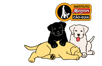 magnus caoguiamagnus Sticker by Cruzeiro do Sul