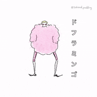 Donquixote Doflamingo GIF
