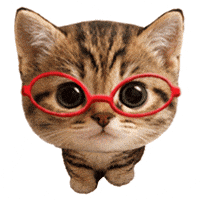 Cat Moving GIF