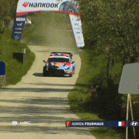 Never Give Up Croatia GIF by FIA World Rally Championship