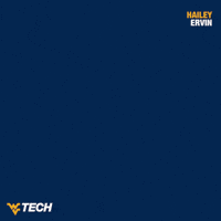 Volleyball GIF by WVU Tech Golden Bears