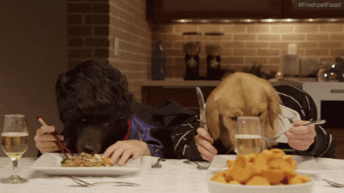 Dog Human Eating GIF