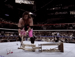 wrestlemania iv wrestling GIF by WWE