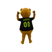 UCyverdon floorball unihockey ucy ucyverdon Sticker