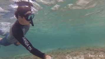 Snorkeler Takes Selfie With Stingray