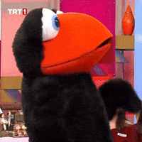 Happy Dance GIF by TRT