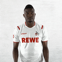 1 Fc Cologne What GIF by 1. FC Köln