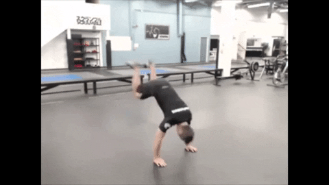 ritchieyip giphygifmaker bodyweight exercises donkey kick GIF