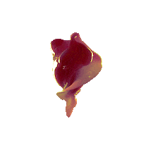 Heart 3D Sticker