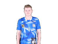 Volleyball Sieg Sticker by VCWolfurt