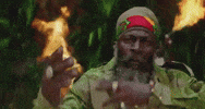 Capleton GIF by DJ Khaled