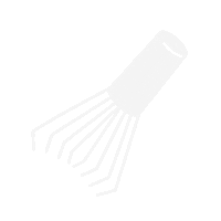 Green Tea Japan Sticker by PokaDesign