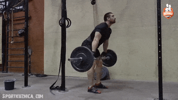 bodybuilding-and-fitness giphyupload podem GIF