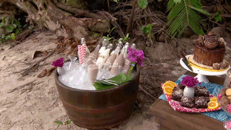 survivorau GIF by Australian Survivor