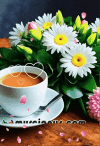 Para Ti Amigos GIF by Murcianys LLC