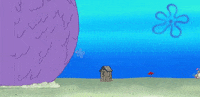 patrick star animation GIF by SpongeBob SquarePants