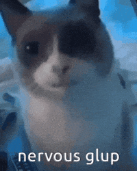 Cat GIF