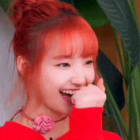 K Pop Smile GIF