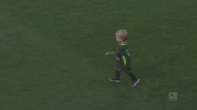 bundesliga werder GIF