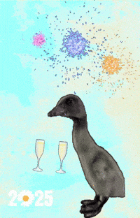 Happy New Year Feliz GIF