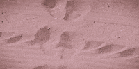 playa logan GIF by El Corte Inglés