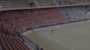 Posco GIF