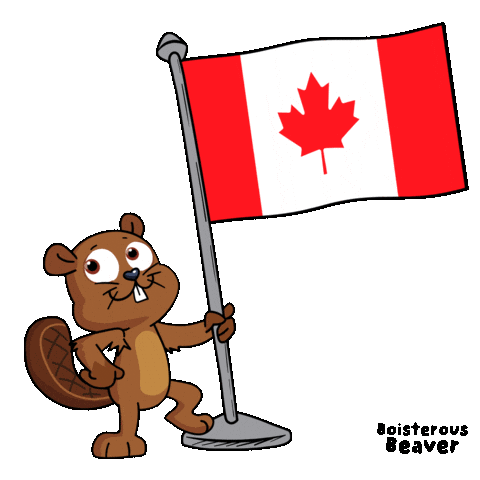 Canadian World Sticker by VeeFriends