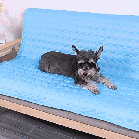 GIF produit