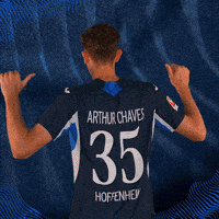 Sport Bundesliga GIF by TSG Hoffenheim
