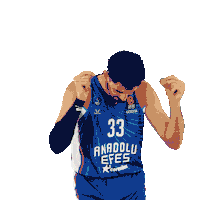 Sport Basketball Sticker by Anadolu Efes SK