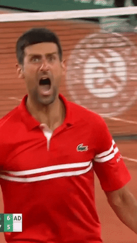 Screaming Novak Djokovic GIF by namslam