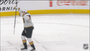 Vegas Golden Knights Celebration GIF by NHL