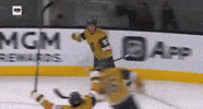 Vegas Golden Knights Hockey GIF