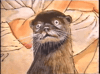 Reaction GIF