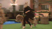 bbuk big brother reality tv cbb celebrity big brother GIF