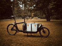 Herbst Picknick GIF by anndora