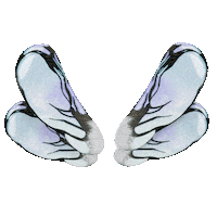 Superchillfoundation superpower superpowers superchill vlindervleugel Sticker