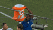 gatorade nlcs GIF by MLB