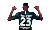 represent france Sticker by VfL Wolfsburg