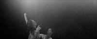 Film Noir GIF by English National Ballet