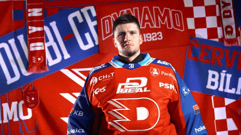 Tomas GIF by HC Dynamo Pardubice
