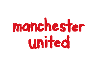 Premier League Football Sticker