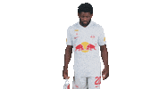 Football Sport Sticker by FC Red Bull Salzburg