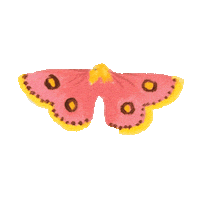 Soar New Orleans Sticker by Ashley Longshore