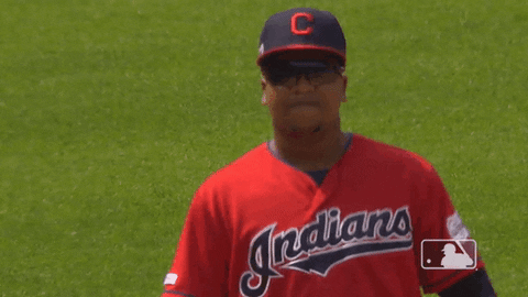 regular season cat GIF by MLB