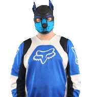 Blue Fox Sticker